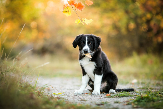 1759701 (a): :2048x1365